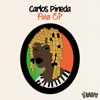 Pocoto cover art