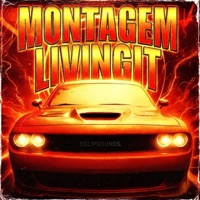 MONTAGEM LIVINGIT - Single - Naxzo on the beat & SoyFlowers