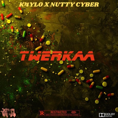 Twerkaa (feat. K4YLO) - Single