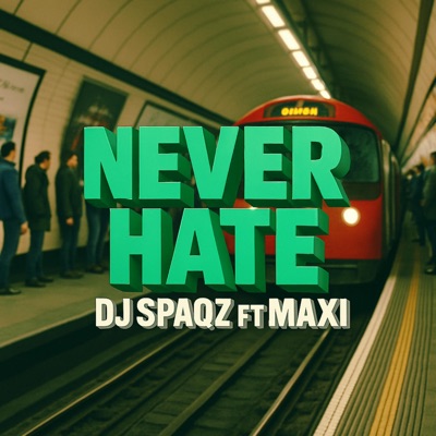 Never Hate (ft Maxi) - Single