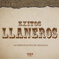Éxitos Llaneros - Acompañantes De Sinaloa