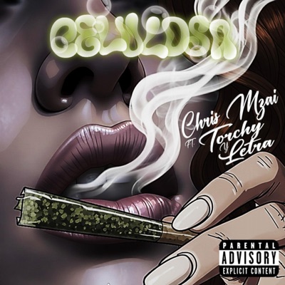 CELULOSA (feat. Torchy & Letra) - Single