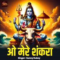 O Mere Shankara - Single - Sunny Dubey