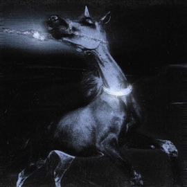 FLOW TRAQUETO Maxiolly & Spy C's