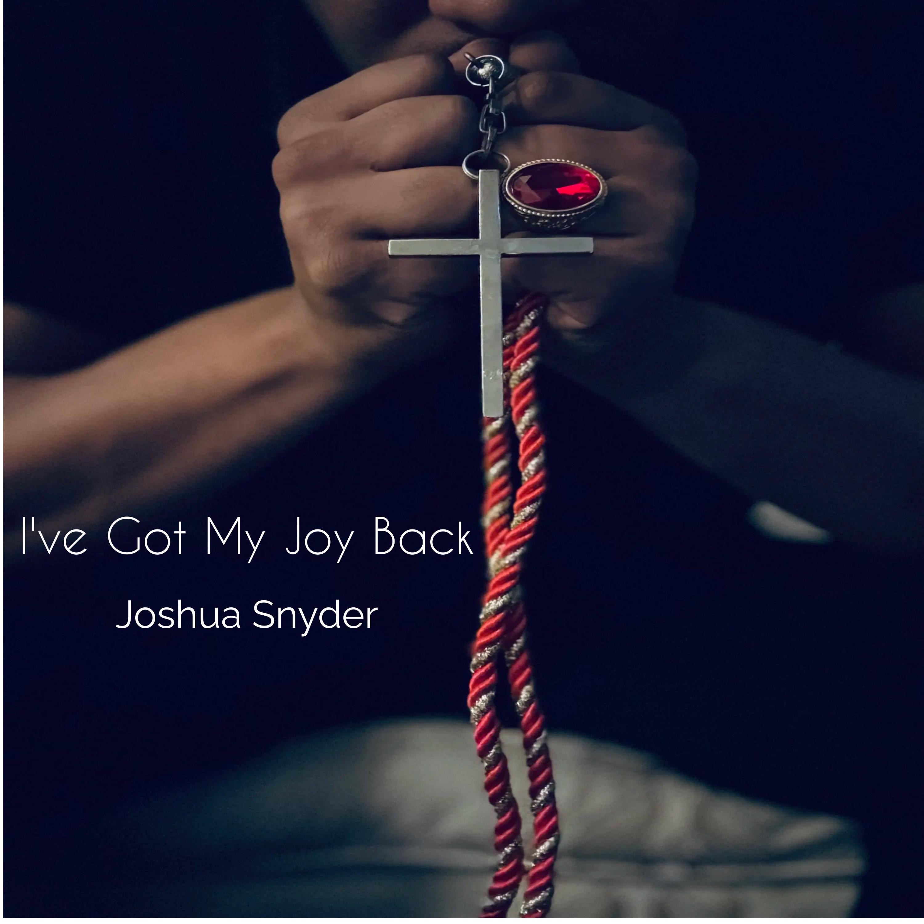 I've Got My Joy Back - Single