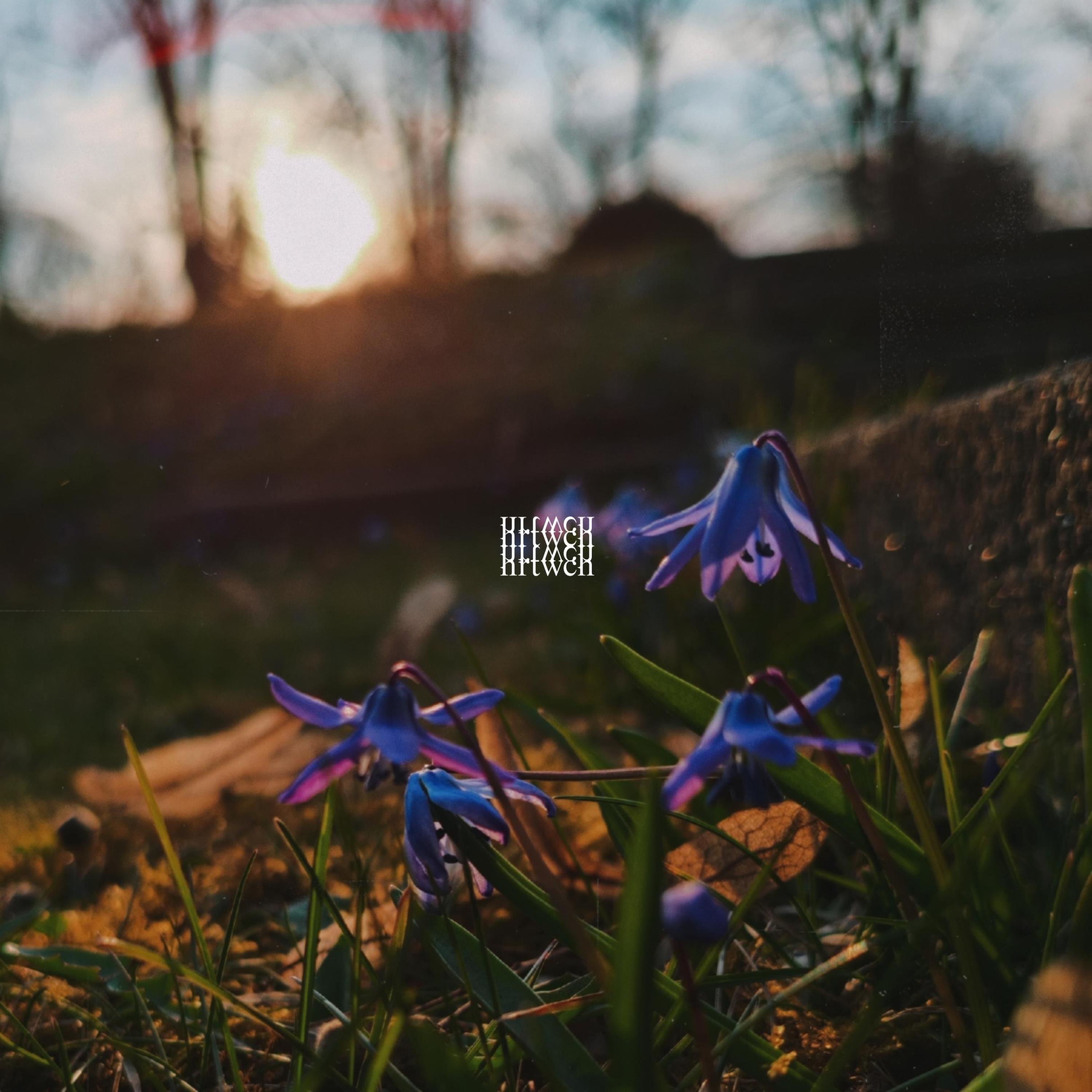 Waltz of the Spring - Single