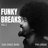 Funky Breaks, Vol. 2