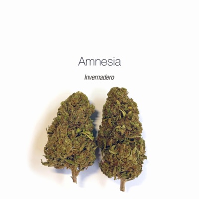 Amnesia (feat. DvlBoii) - Single