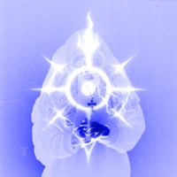 Nintendo - Single - yngxan