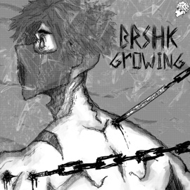 Growing bRshk