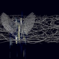 sparrow - Single - Olivia Brown