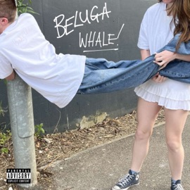 Beluga whale ZEDNED, HicKx & Whalez