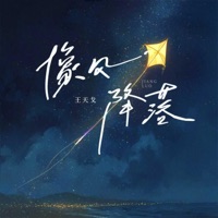 像风降落 - Single - 王天戈