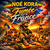 Fumée sur la France