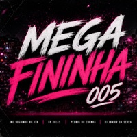 MEGA FININHA 005 - Single