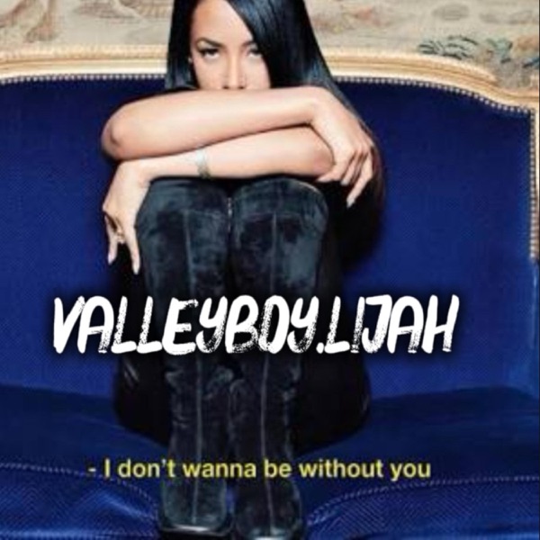 I DON'T WANNA (Valleyboy.lijah) - Single