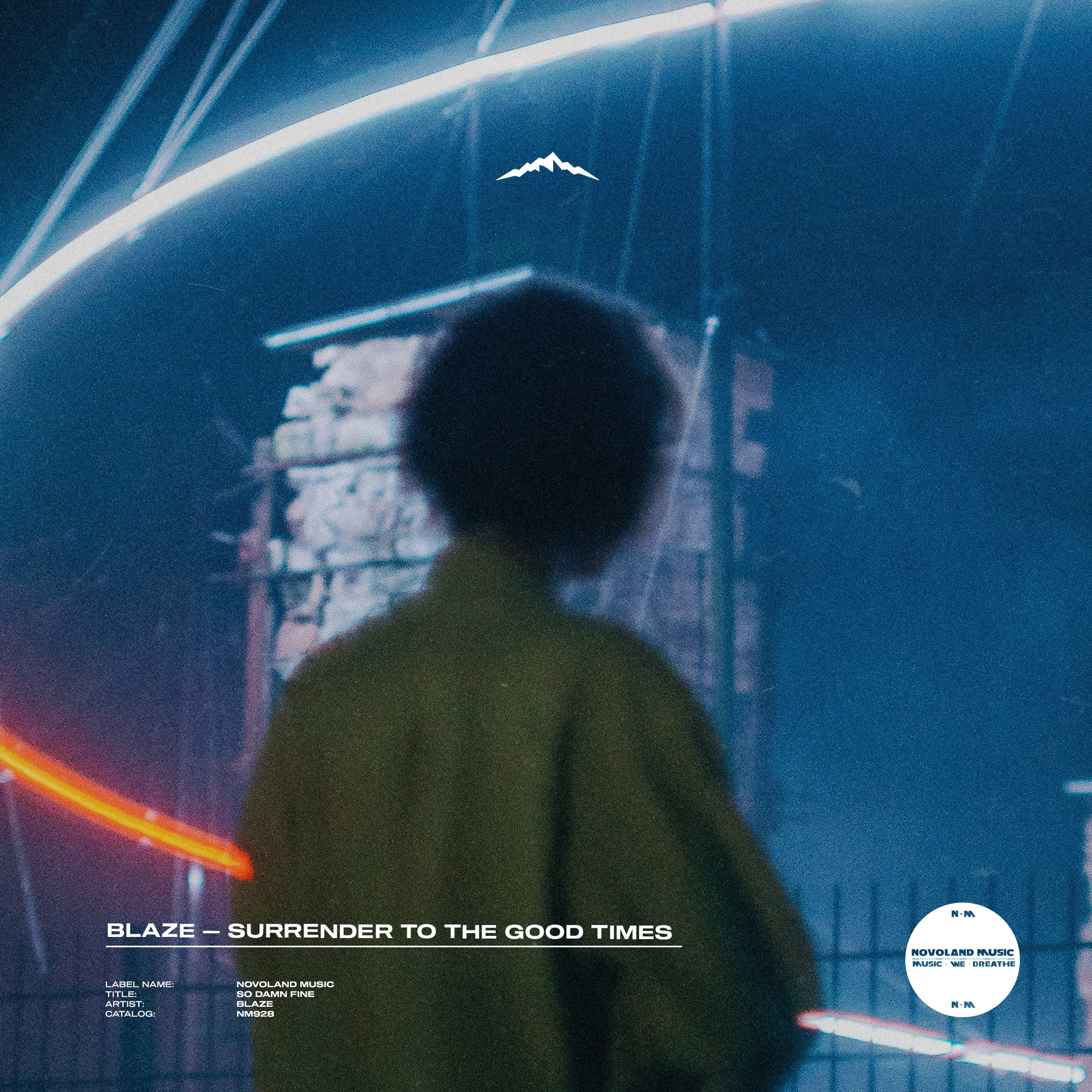 Surrender to the Good Times - Single