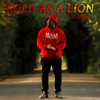 Bold as a Lion: Season 1
