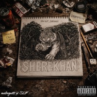 DRØMMELIV (Sherekhan) - Single - nabogutt & SLF