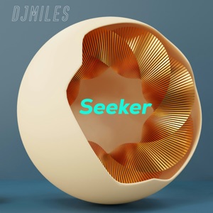 Seeker (feat. NeD-Cee)