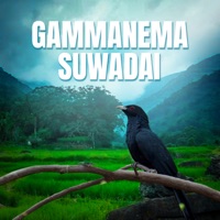 Gammanema Suwadai - Single - Udesh Indula, Kalpana Kavindi & Yashodha Priyadarshani