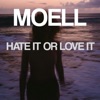 HATE IT OR LOVE IT cover art