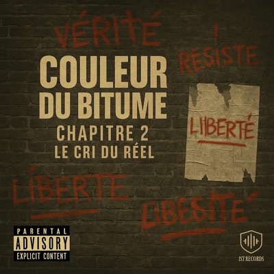 Couleur Du Bitume - Chapitre II - le cri du réel