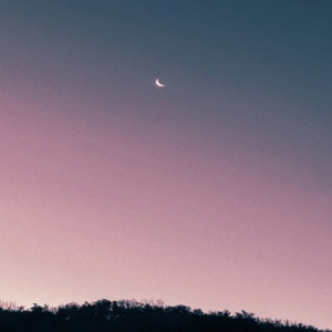 last dream (feat. vimef)