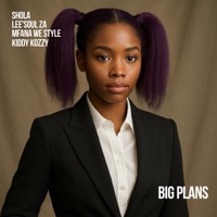 BIG PLANS (feat. Mfana we style, Kiddy Kozzy & Lee'soul Za) - Single - Shola