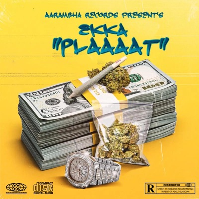 Plaaaat - Single