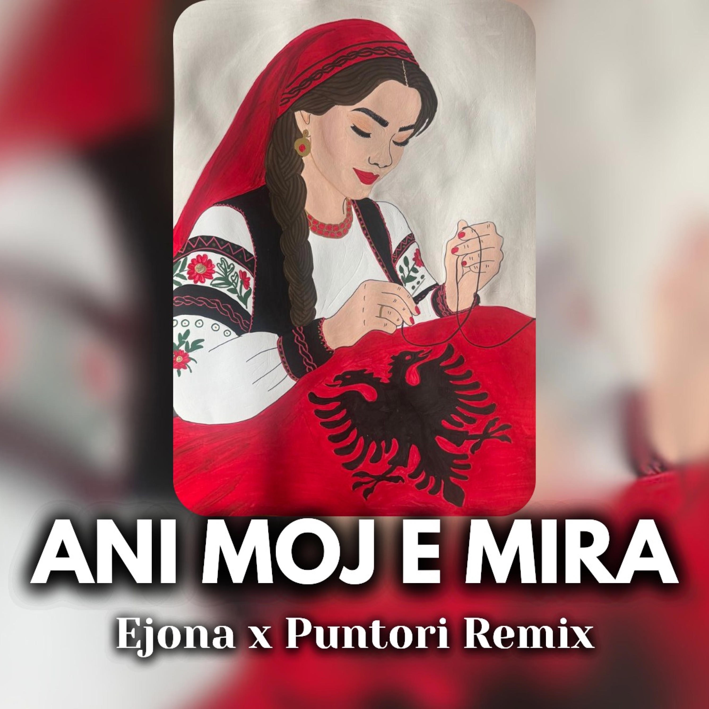 ANI MOJ E MIRA (feat. Puntori Remix) - Single