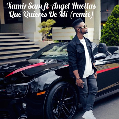 Qué Quieres De Mí (Remix) [feat. Angel Huellas] - Single