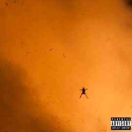 RAPID FIRE AUTOMATIC Dane Diamond