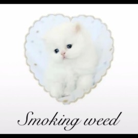 ya be on that lame shi (feat. alycat) reloadn