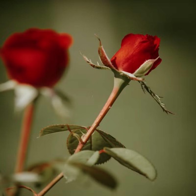 I'm Wit You (feat. Swappacoochi) - Single