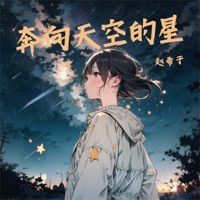 奔向天空的星 - Single - 赵希予