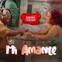 Mi Amante (feat. A2 Di Fulani) - Single - Queen Berly