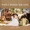 Sleep Country - SCC141125R30E - .