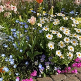 who says (feat. springs!) rxi