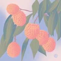 Lychee - Single - Guzimi