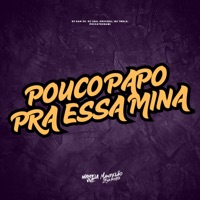 Pouco Papo Pra Essa Mina - Single - MC 7 Belo, Puccatsunami, DJ Dan zs & DJ LEAL ORIGINAL