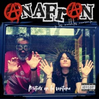 Metidx en la ventana - Single - AnaFran ylos malditos cuarenta & D-Boy