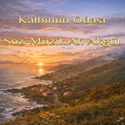 Kalbimin Odası - Ali Akgül