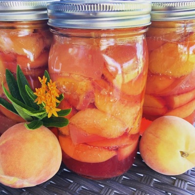 Canned Peaches - Single