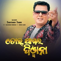 Tor Pagal Deewana - Single - Santanu Sahu