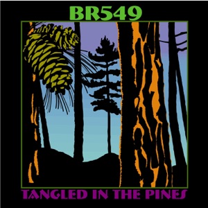 Tangled In the Pines