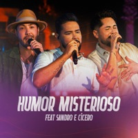 Humor Misterioso (feat. Sandro e Cícero) - Single - Pablo Henrique Flores