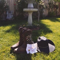 vuelve a mí - Single - Züri