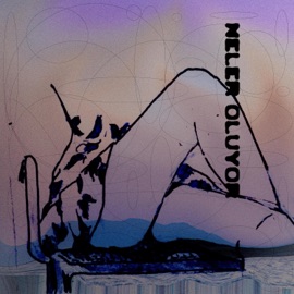 Neler Oluyor? Redizim