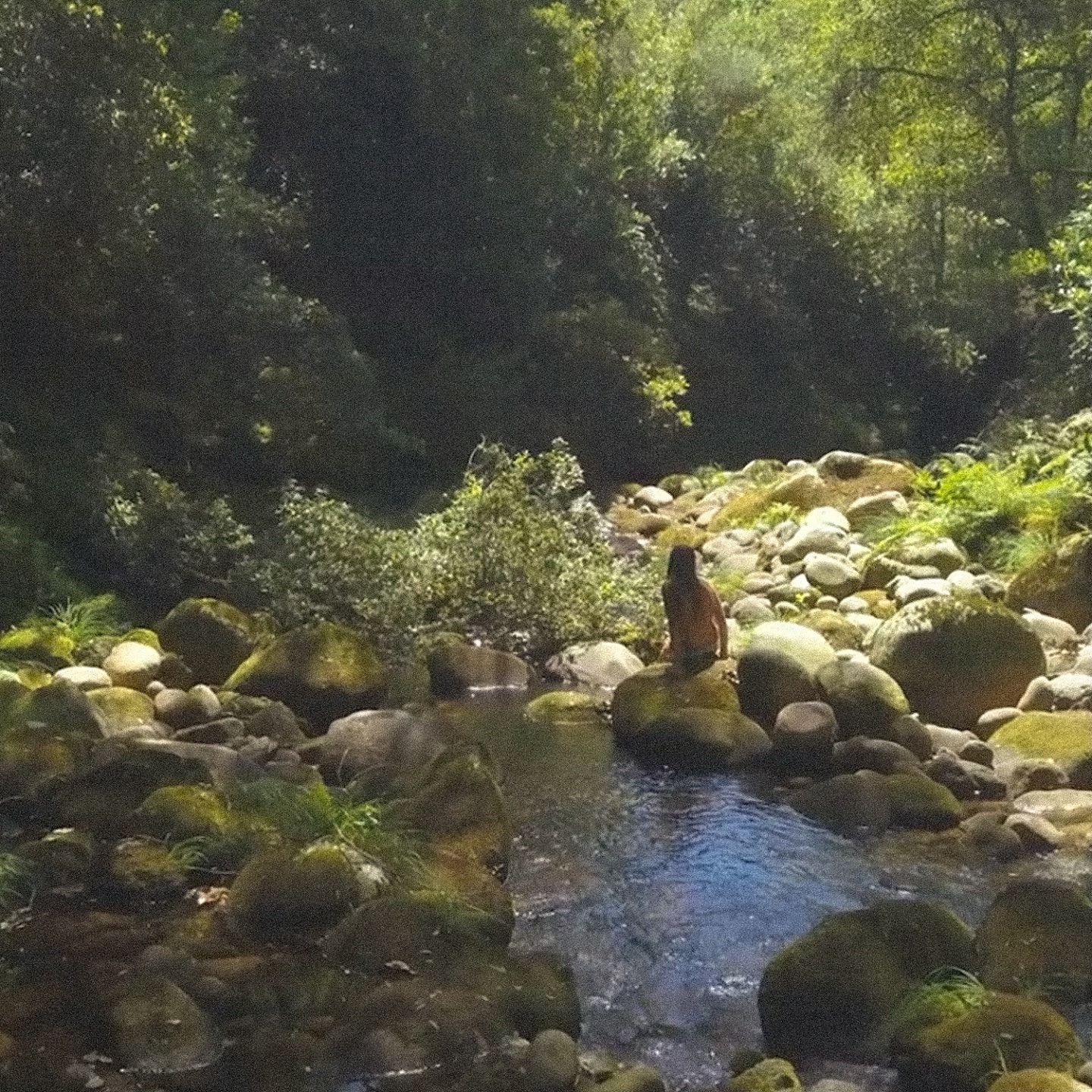 The Village - Single